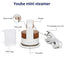 Yoube Portable Mini Electric travel Steam iron
